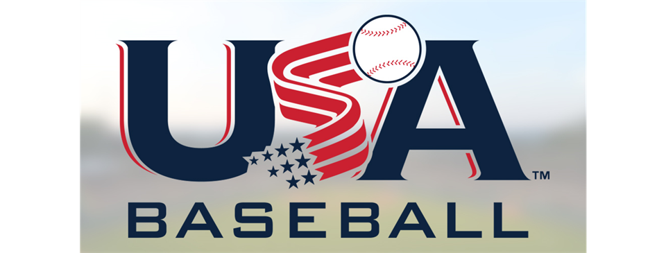 Little League Bat Standards